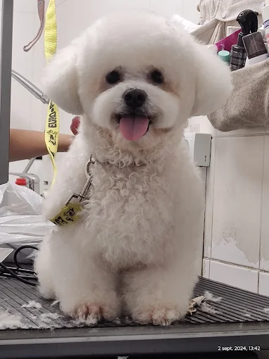 Pacient TrioHelp Vet